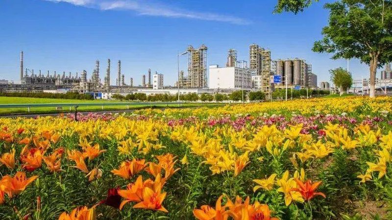 医药中间体：精细化工产品生产的“幕后英雄”**